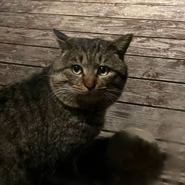 36b90d3f b961 473a a088 f893406020bd 1773826712387