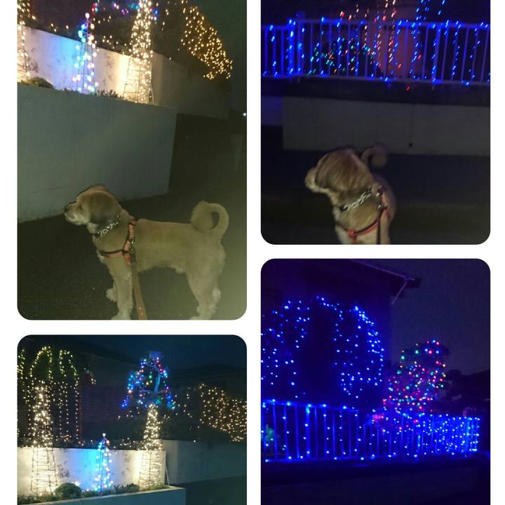 36b90eff 9442 4b6c ac8f 65bda1265058 1511947043177