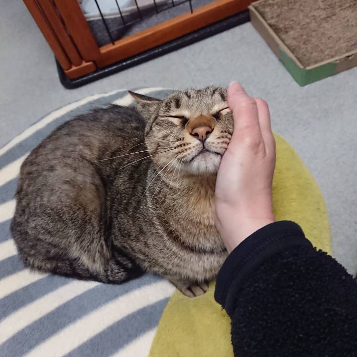 36b924b7 a3f6 4afc 8ef7 ecd554cb8f0c 1575654211212