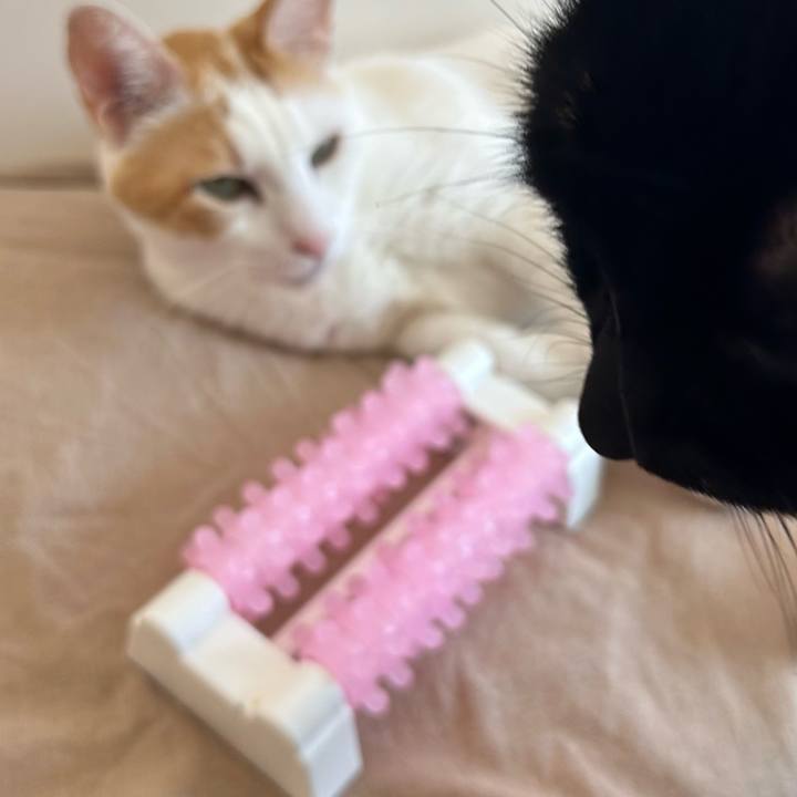 36b9686a 59c1 4a73 b1c3 72d9a9393b96 1690676259194