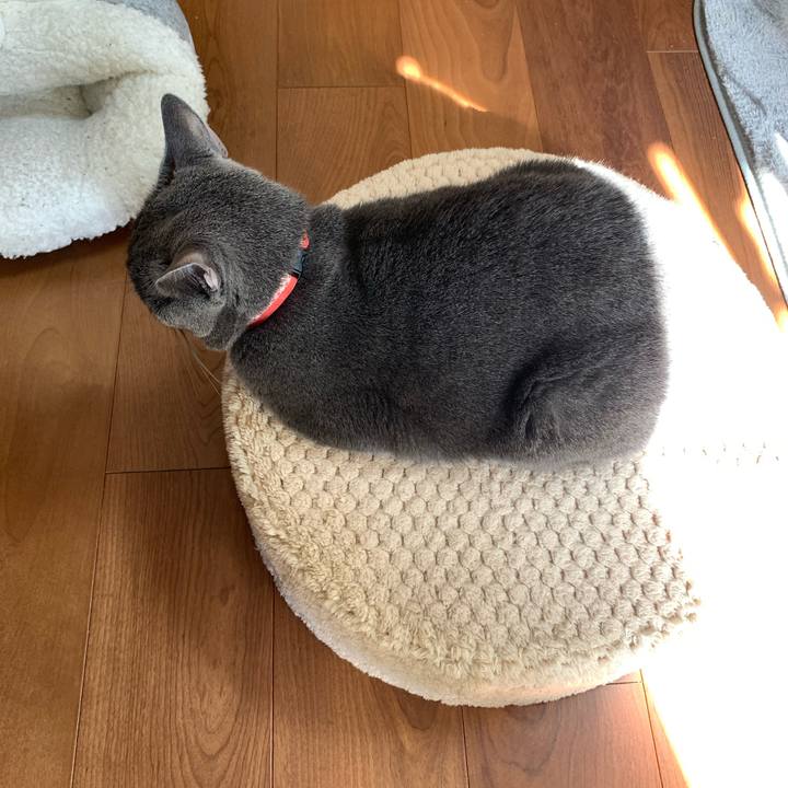 36b9ad56 e438 46a5 9427 055501764b22 1604884745679