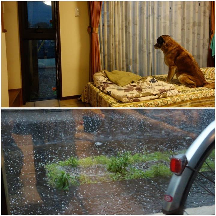 36ba222a aec5 45ea ad76 e51049cb9314 1556982295023