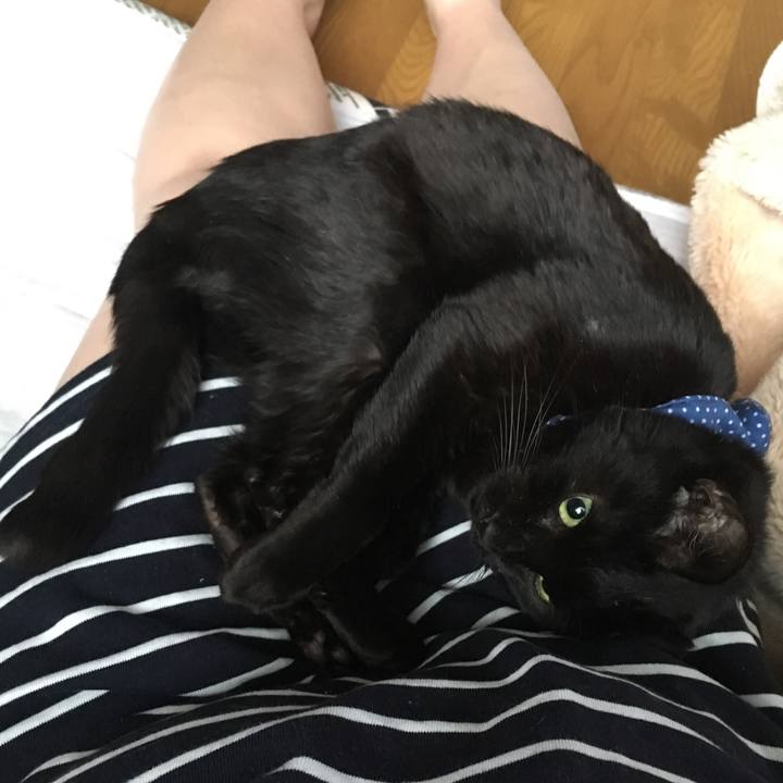 36ba5384 165e 424c bdce bfaab702a26b 1552425587296