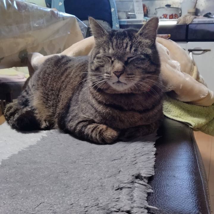 36ba82d4 c25e 44fb 900c 8f3231d7d763 1679212001314