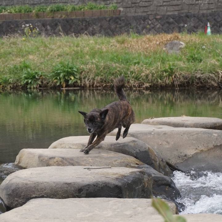 36ba860a ac47 468d 8079 3fac5b476760 1525185978128