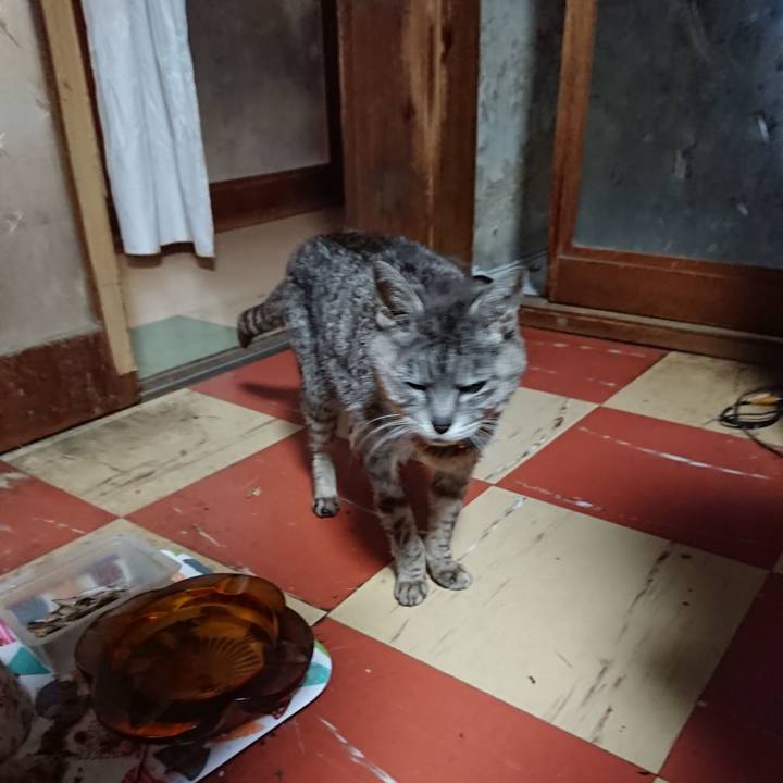 36ba872e b6fe 47b2 847c e5d4682f6099 1591386718308