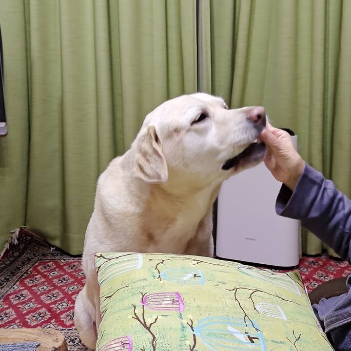 36baa9ac 92ce 45c6 877b 3d011c005ef1 1730201637185