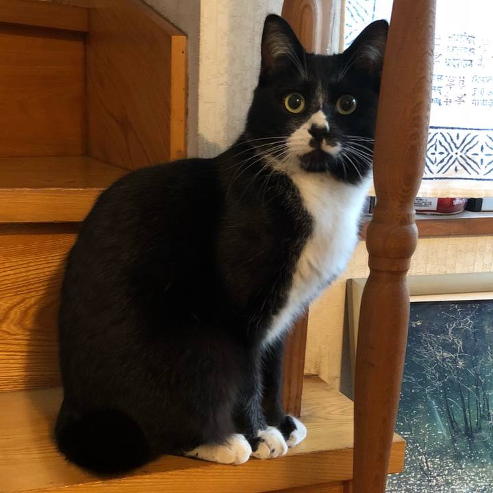 36bab8d6 59a7 4024 9443 23297f1e3698 1524024059874