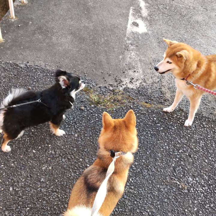 36bac7d9 ae2d 4c9c b4ea 1f41ee44577d 1632957833526