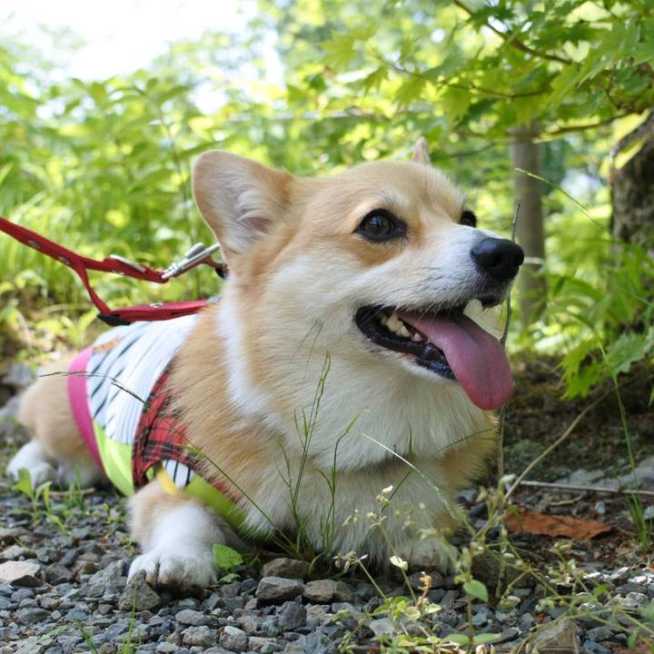 36bade55 496d 434d a3eb 2e8a61075038 1559390378626