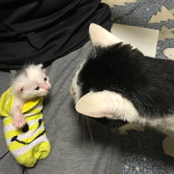 36bae79a 07c0 46df 87a0 263079bbc283 1589895256758