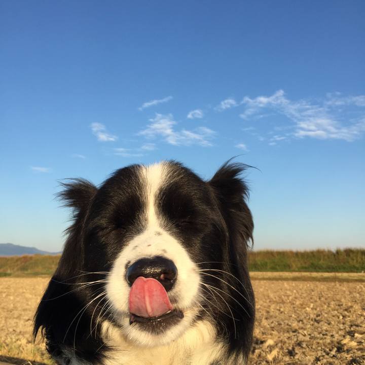 36bb0b56 71b2 456e ab8e c71d52f5a420 1541284800170