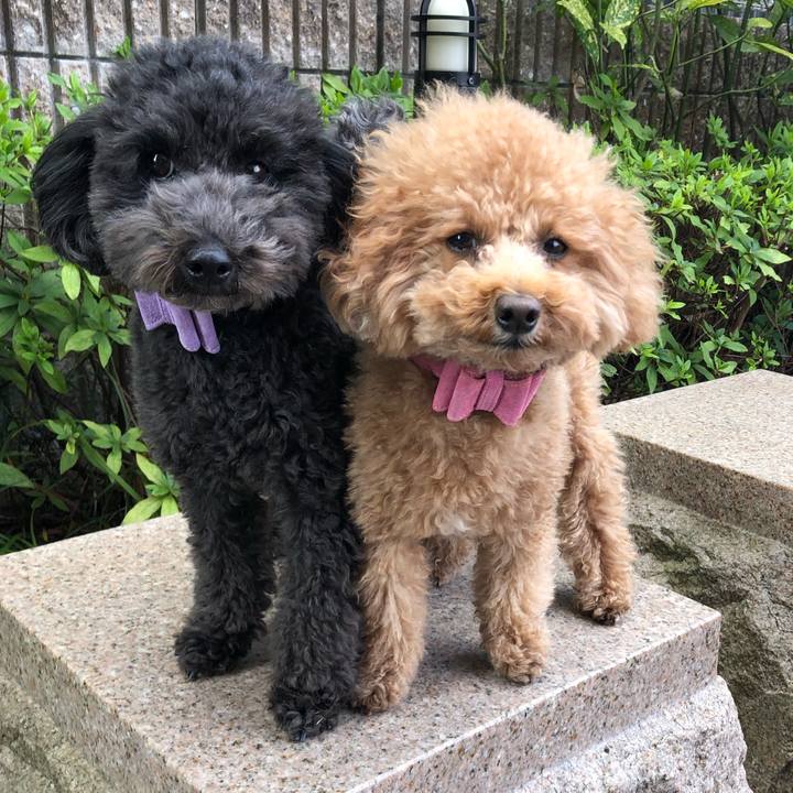 36bb0e93 22a4 4643 bcde 93e8fab87e64 1615018077384