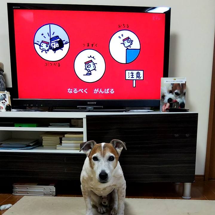 36bb1a1e 5faa 444e 8e63 8f6e38b61179 1553894715906