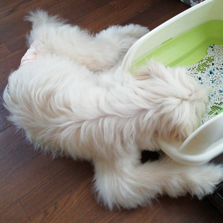 36bb4c57 d2ed 4a45 8d62 319448e9a7b0 1629791654717