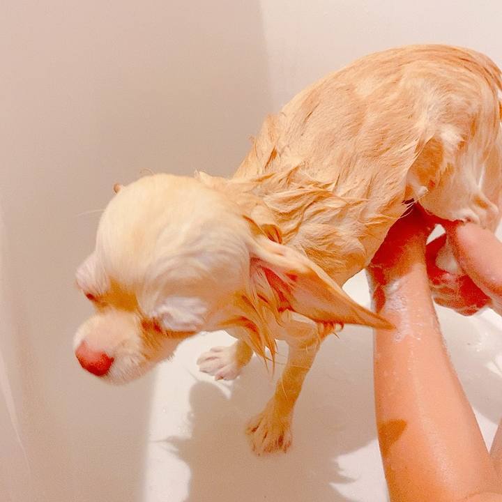 36bb56ee 0104 490c 9cdb ee9489503f62 1626265064330