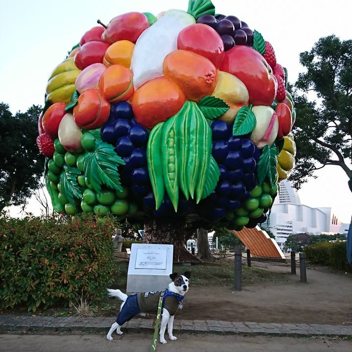 36bb7980 c5f3 4205 b385 2d8143a51694 1515233767618