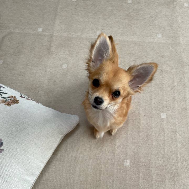 36bb9567 8e6b 4e18 8f2b 99c99dc78026 1773269464290