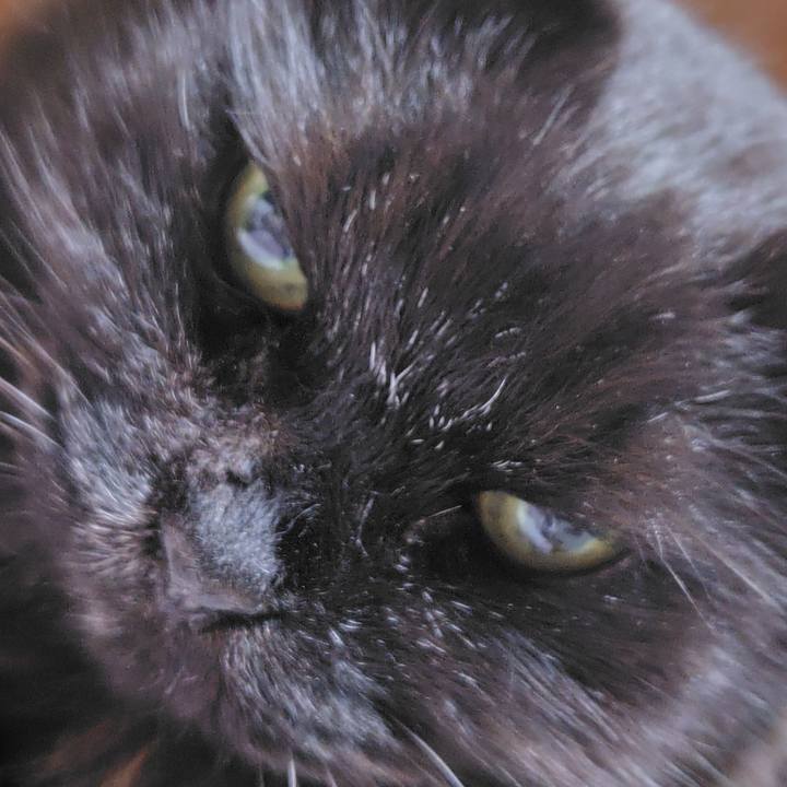 36bb9aef 64cb 4be2 91fd 8e5713c7c7d1 1765618059687