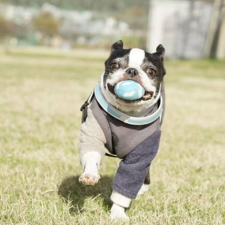 36bbb146 48da 4e7d beb5 af61170b2961 1546154476840