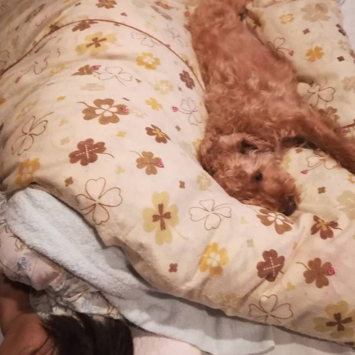 36bbe2fd 672a 4962 907b f85e95280f57 1530194344821