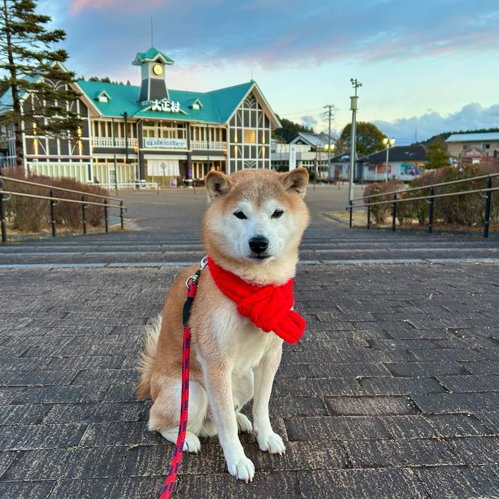 36bc006d 10bb 4744 9cda 9dcbb040d408 1738665509719