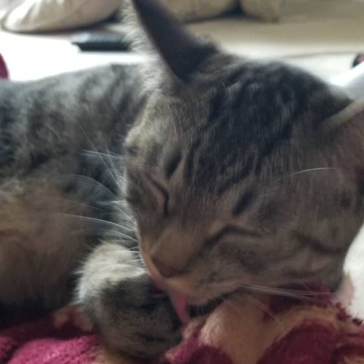 36bc7248 36d7 4cf2 b490 384bf1a03098 1690263199403