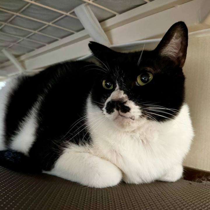 36bc78f1 07c6 4d40 8df9 8292491da7b1 1752192377194