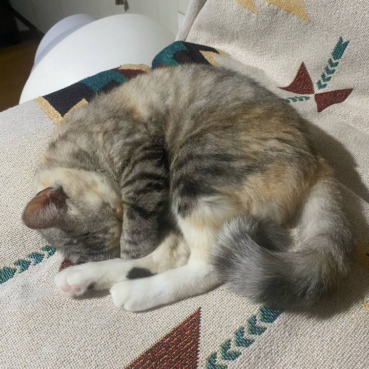 36bc91b3 cbf5 48d6 af22 7478dff2edc7 1758986930467