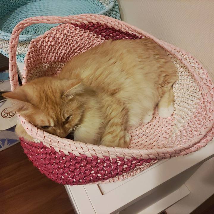 36bca570 b631 4177 8038 e8306980b14d 1659271305463