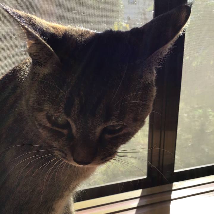 36bd3e48 62c4 4b49 b793 e17f20038ac2 1584232539211