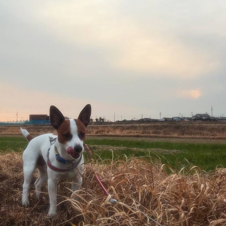 36bda90b ef6b 4d63 b502 2aaee632d140 1519303137702