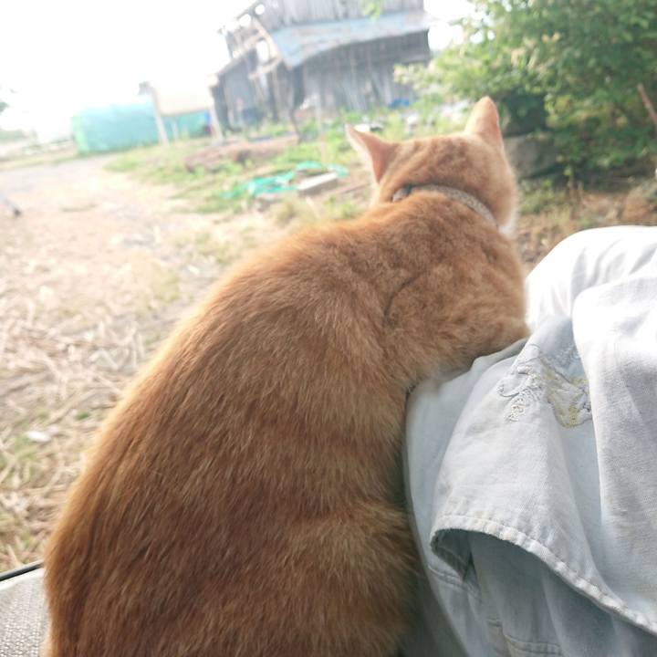 36bdb6a5 1109 463b a4a5 f0d988a38907 1591907347095