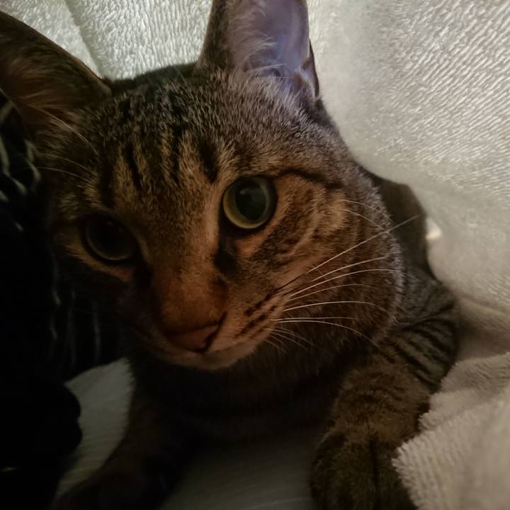 36bdc5d3 53fb 4e85 a126 27a13b547cc3 1536980408799