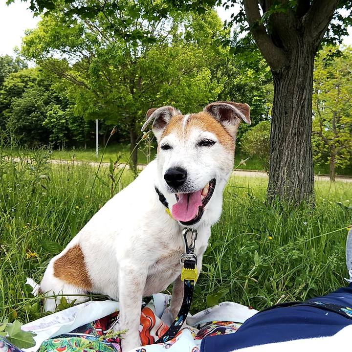 36bdccdb 3060 4c4d 8e8d 15391270cf86 1557635588486