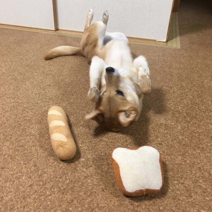 36bdfd51 3d31 4447 9d56 8a548eec05b3 1549412813906