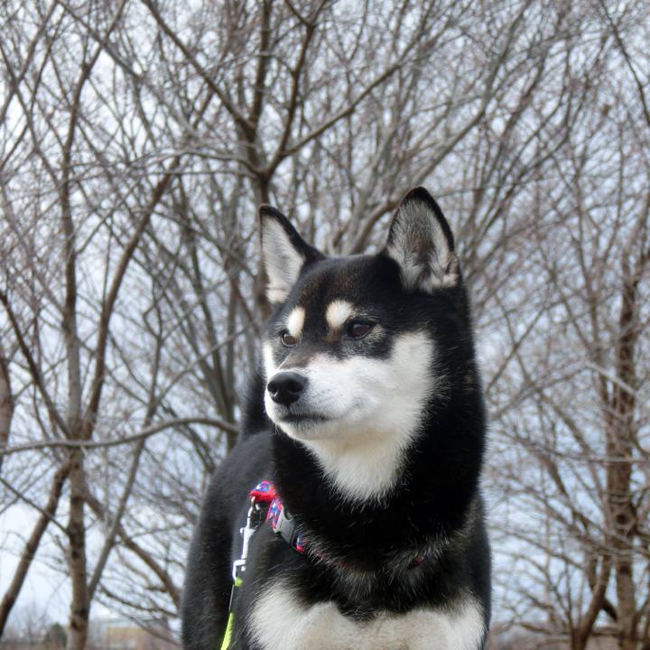 36bdfdf4 a4ee 46cc 8420 87226a48564c 1515287787474