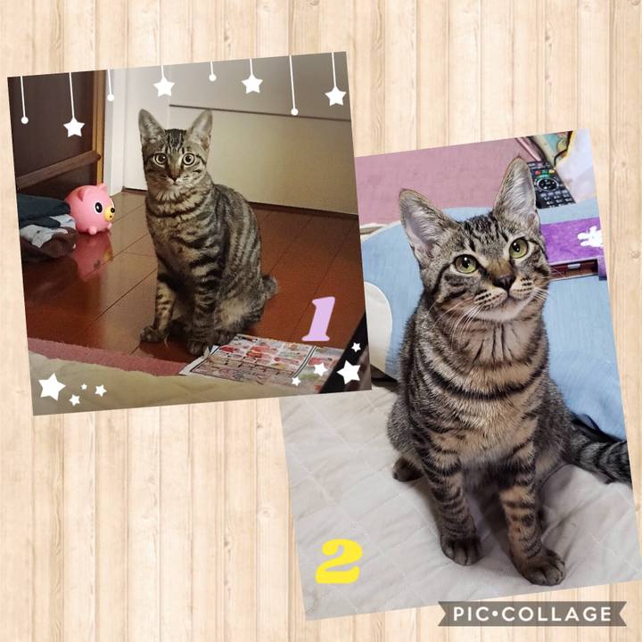 36be068a e738 48ed b1eb 51ec4160ddcc 1542414507075