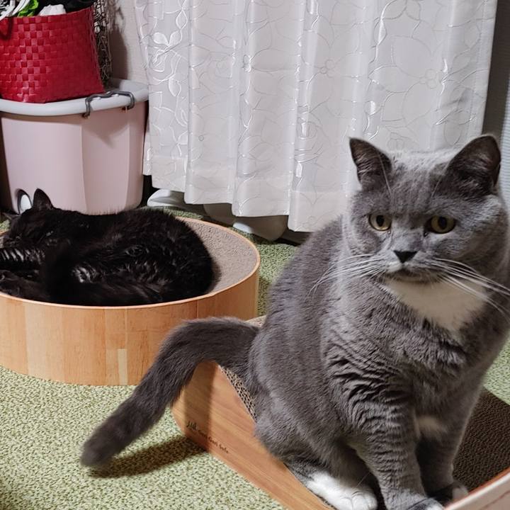 36be0b35 4e69 4b57 89b2 2da3c12a28de 1636982658971