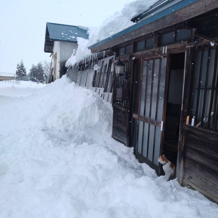 36be4632 b6ae 4b78 9e06 80f03f7ff6ce 1769944570872