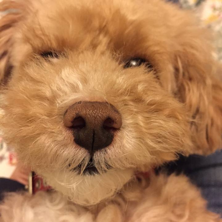 36beafb8 8e46 44a3 bfd6 5f03501d7720 1523485707142