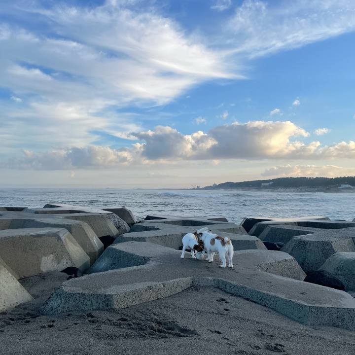 36beb0a4 bd5d 41c2 b47f 508bff8b2da2 1639007449169