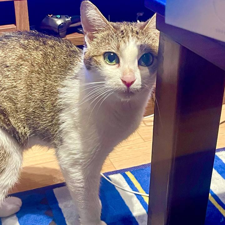 36bebd66 288e 44ce a6e3 50c6eae4a73c 1629145818002