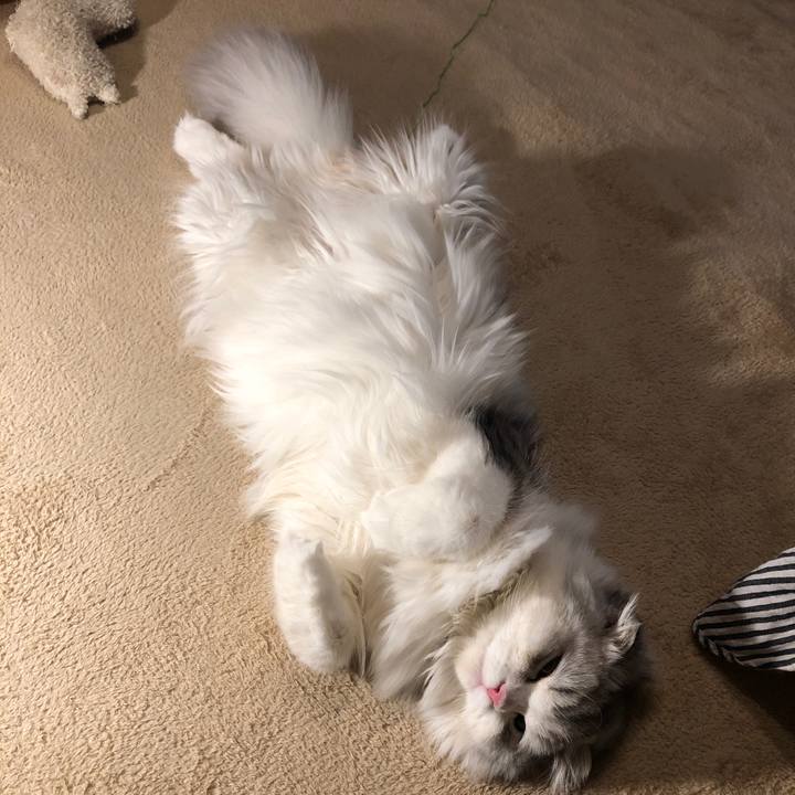 36befdf4 8e96 4aad 9cd2 28c976623049 1614509849625