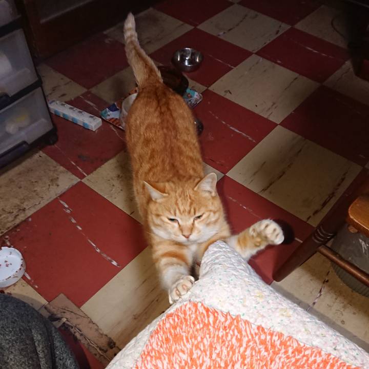 36bf1183 68bc 407b b32b 35df272b107a 1583783741609