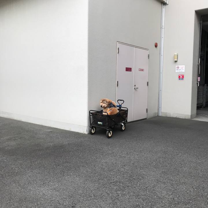 36bf3a59 e700 4636 8180 53ab0635de91 1662535042860