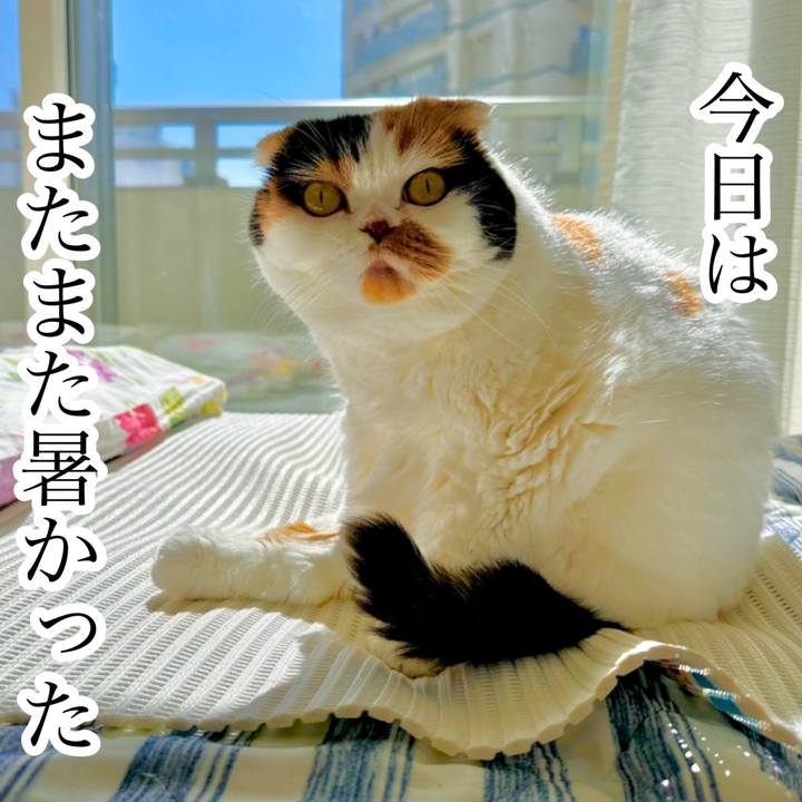 36bf3f53 1aa2 49ef ba25 f0a436aaaa52 1695390566197