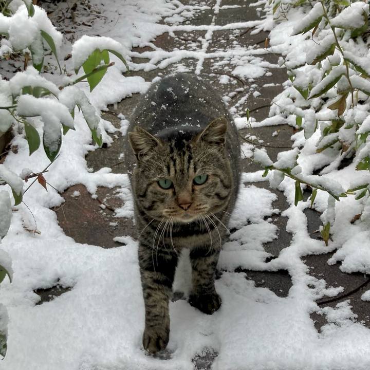 36bf73bd 036d 4aad 8050 685e4ff8b439 1639784753659