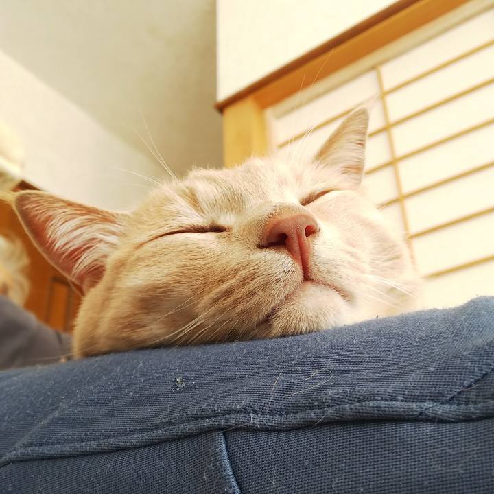 36bfc412 479c 47bd 8bf3 5568e19bc17b 1648951829212