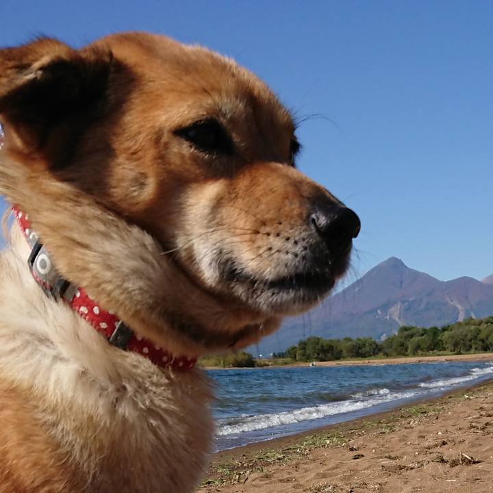 36c02767 ed0a 4e55 a6ff 211fe5c9035e 1540098492343